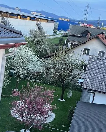 Palace Garden Apartmán